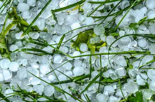 REVIA™ Hail-Resistant Shingles – Experience the Difference
