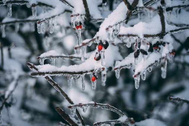 How Snow & Ice Impact Your Roof