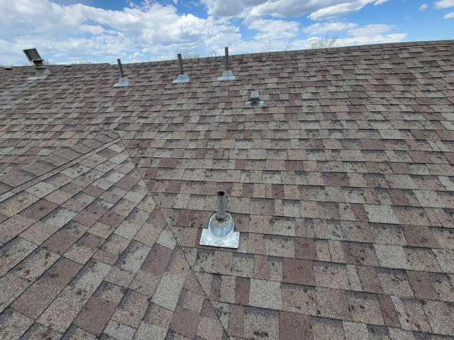 Severe Hail Damage