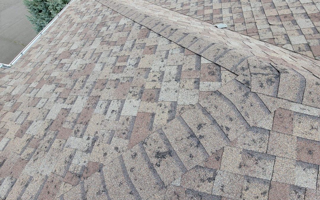 Hail Damage